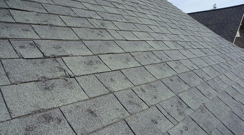 6 Reasons You Should Get a Roof Inspection After a Hail Storm