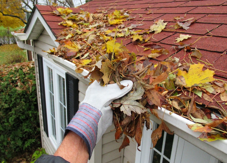 Spring Cleaning Guide for Siding and Gutters