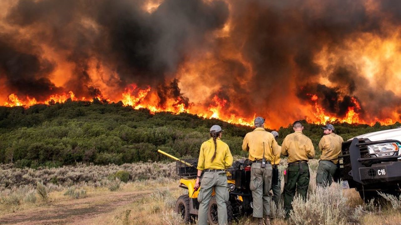 Dealing with Wildfire Risks: Roofing Materials and Maintenance for Fire-Prone Areas in Colorado