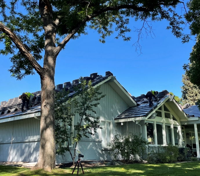 Roofers installing asphalt shingles on a suburban home, with a large tree and professional camera equipment in the foreground, highlighting active roofing work in a lush residential setting.