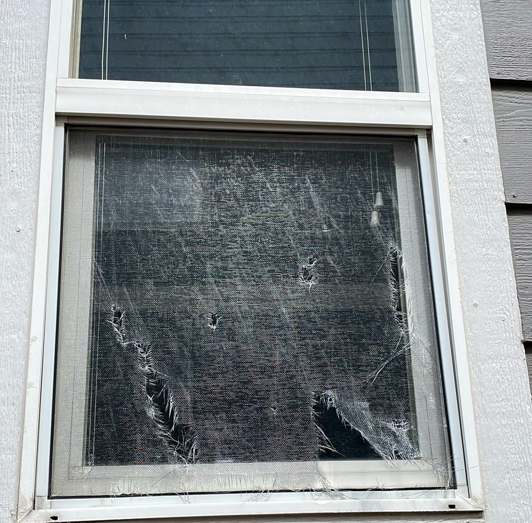 A damaged window screen with tears and holes.