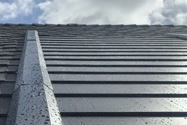 Raindrops on a slate gray roof with overcast sky in the background.
