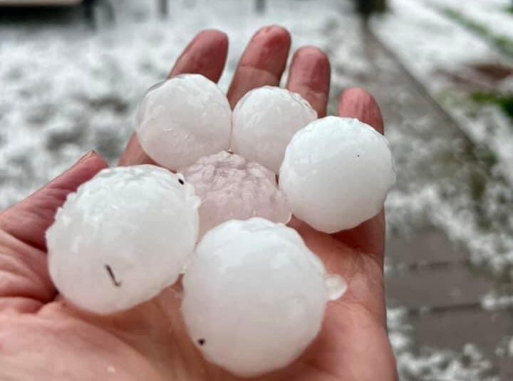 hand holding 6 gold ball sized pieces of hail