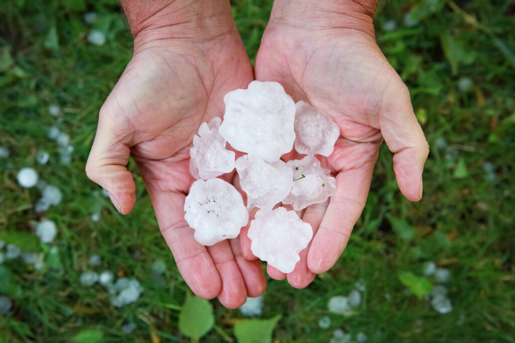Hail in hands over grass after hail storm that caused commercial roof hail damage